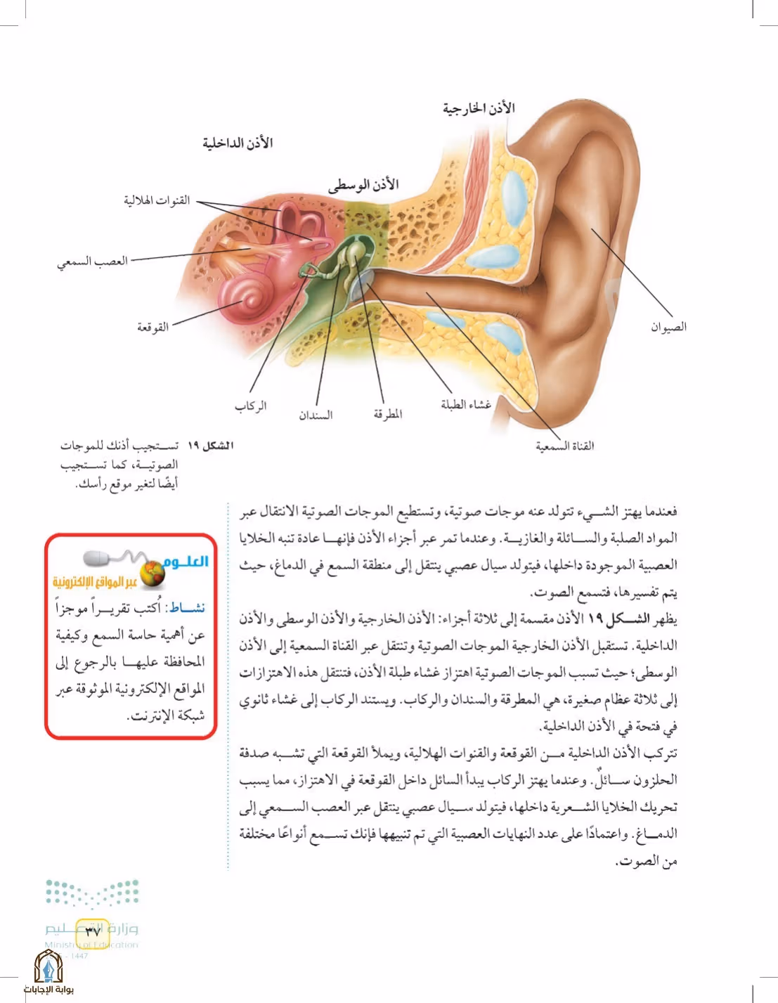 صفحة 37