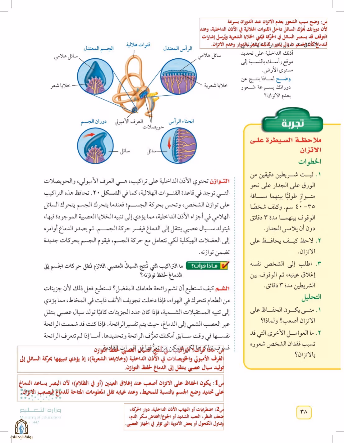 صفحة 38
