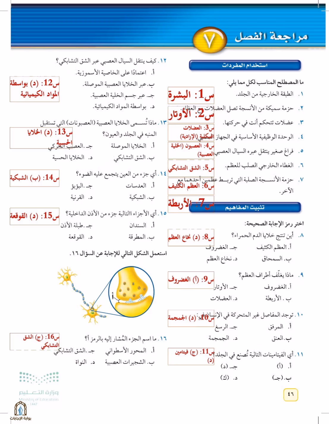 صفحة 46