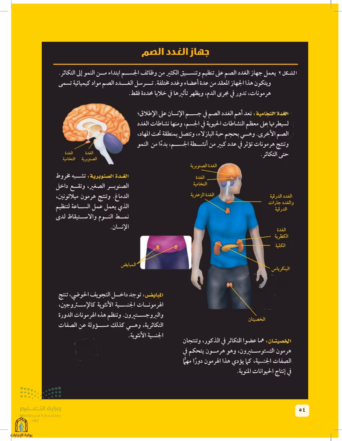 صفحة 54