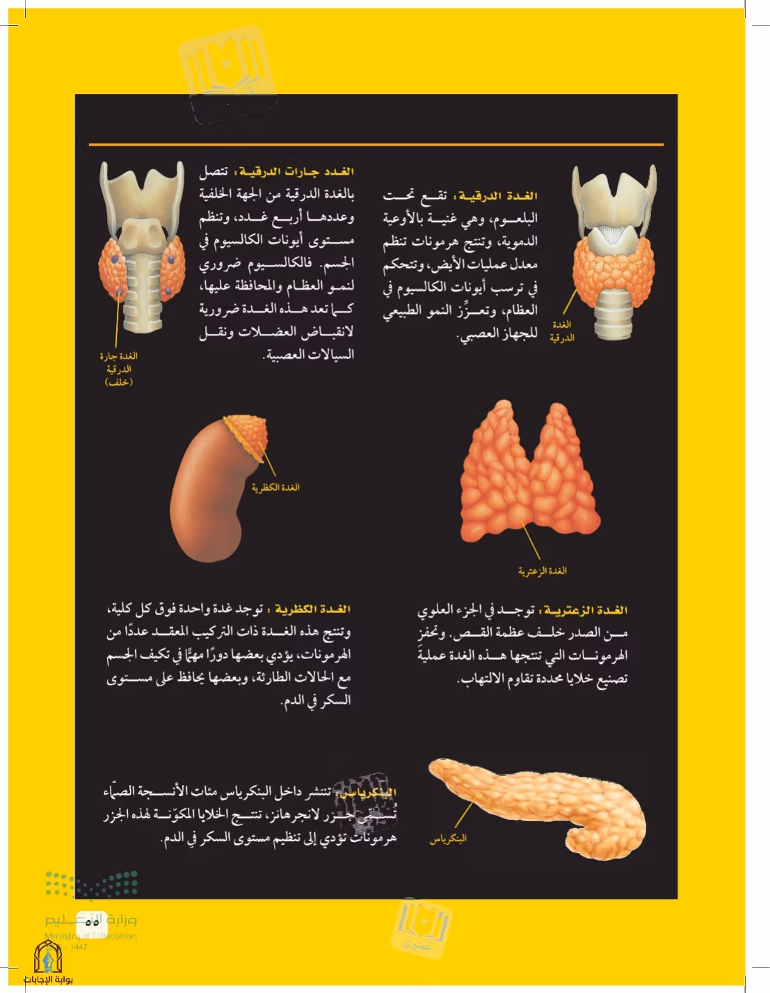 صفحة 55
