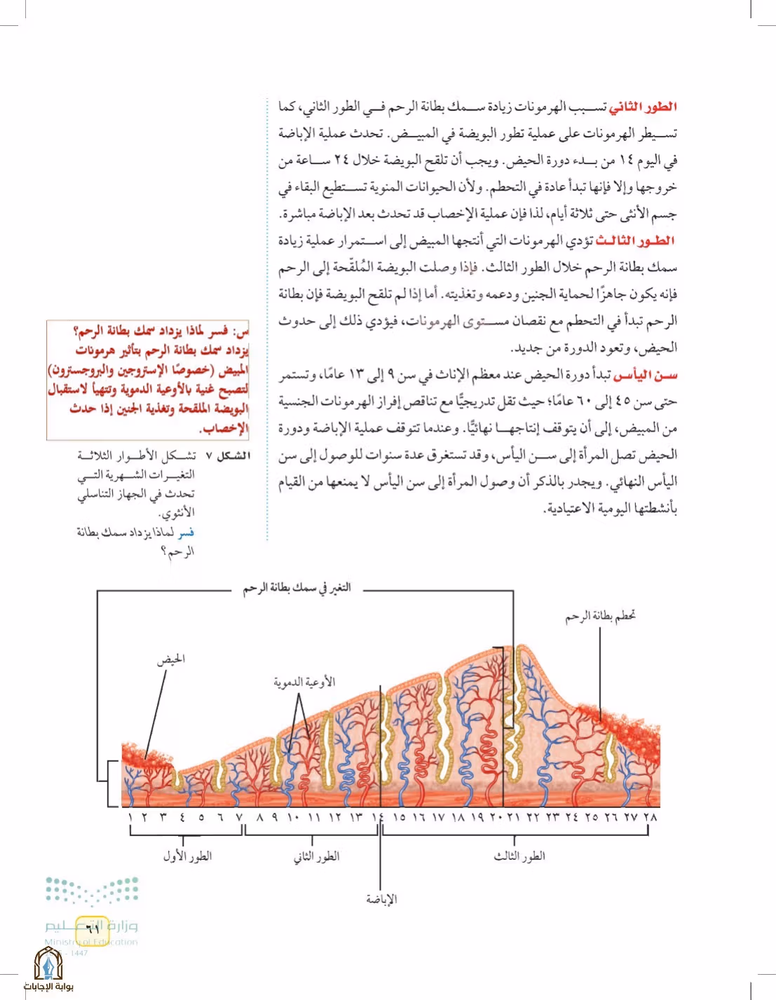 صفحة 61