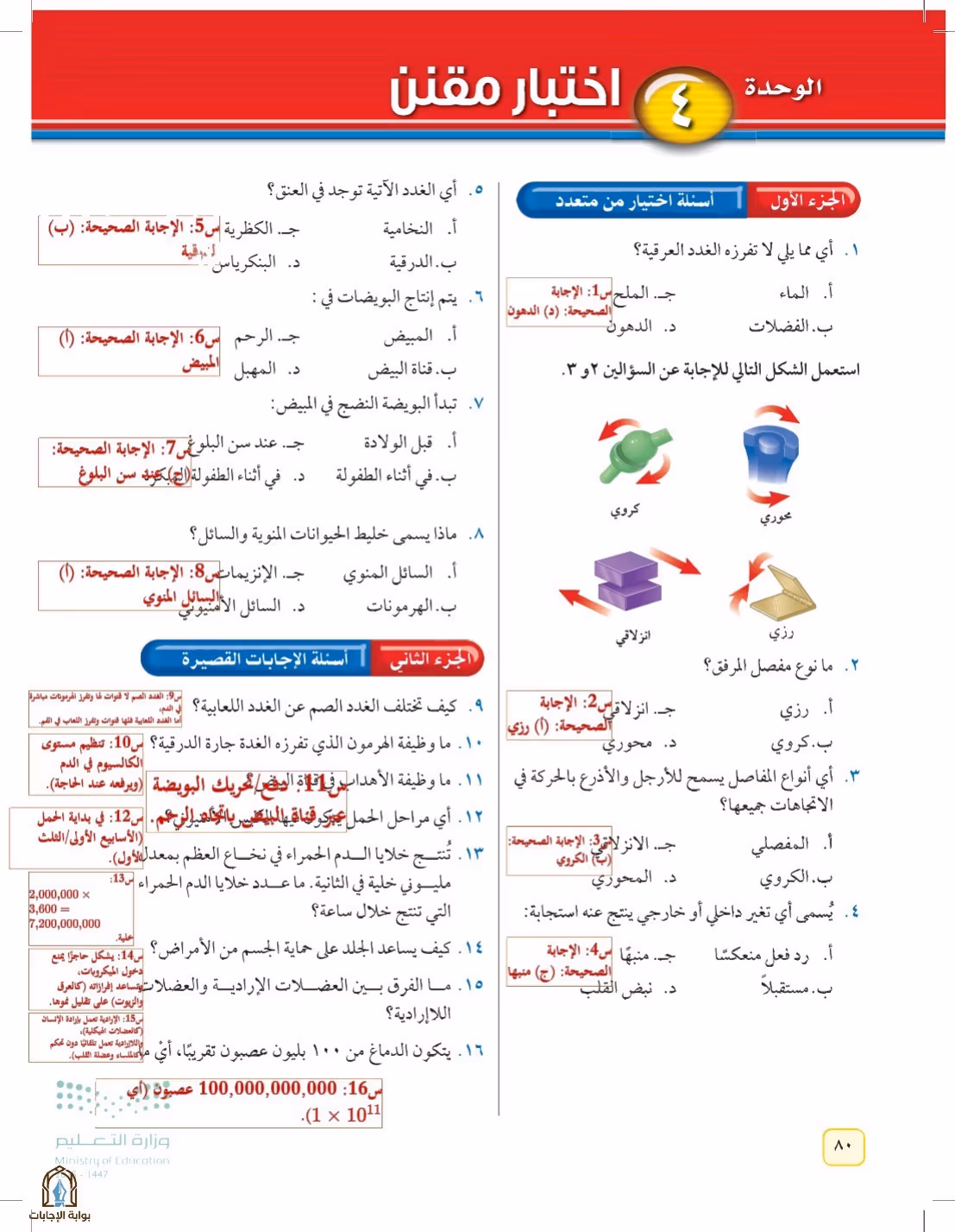 صفحة 80