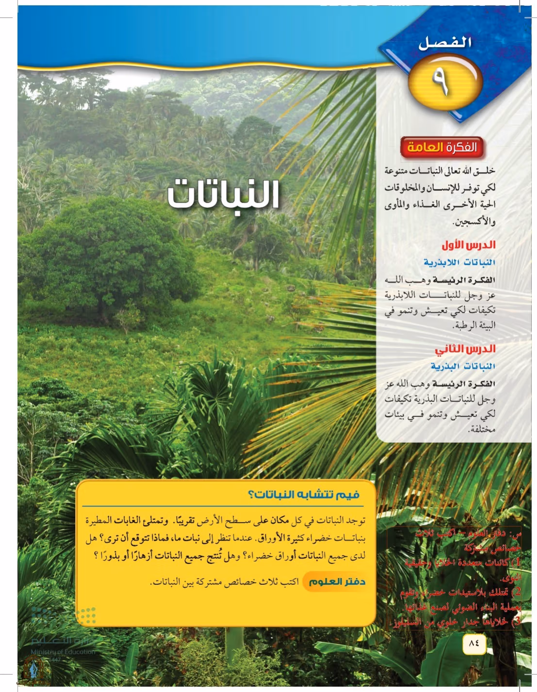 صفحة 84
