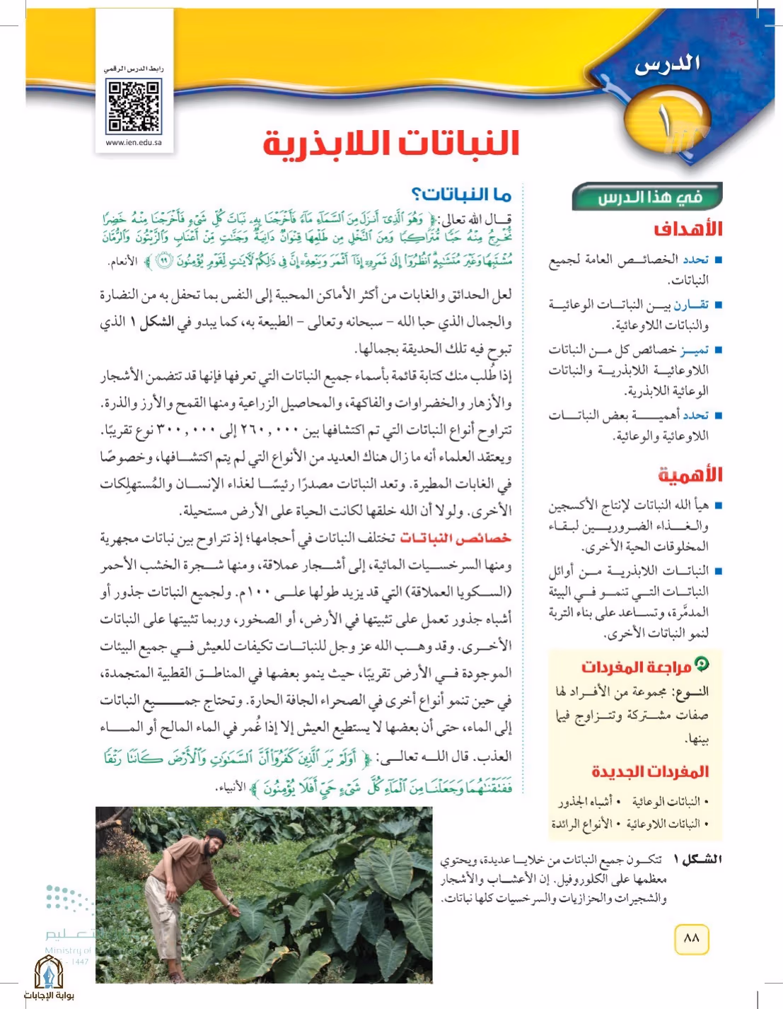 صفحة 88