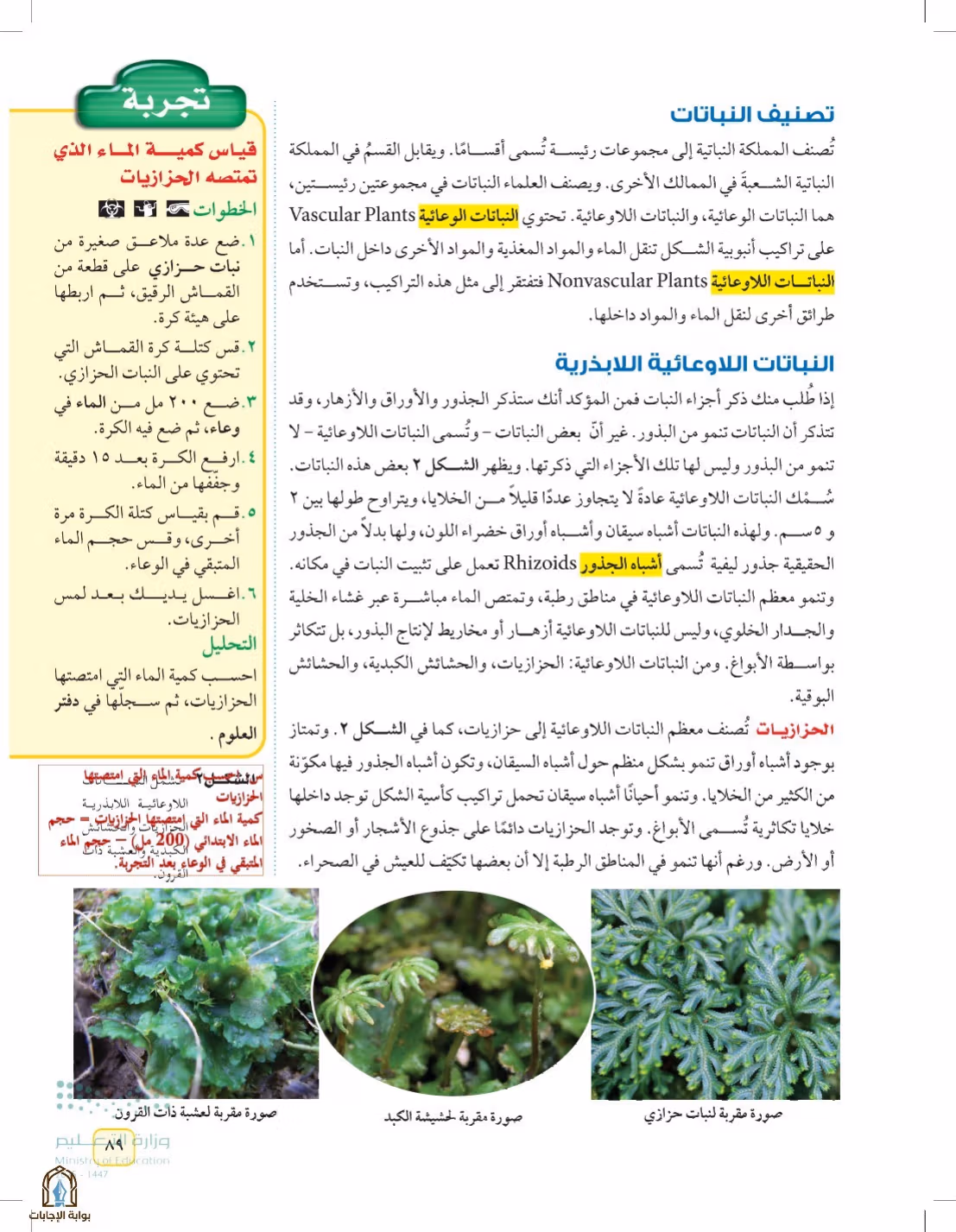 صفحة 89