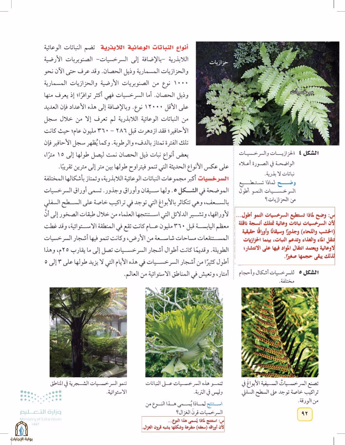 صفحة 92
