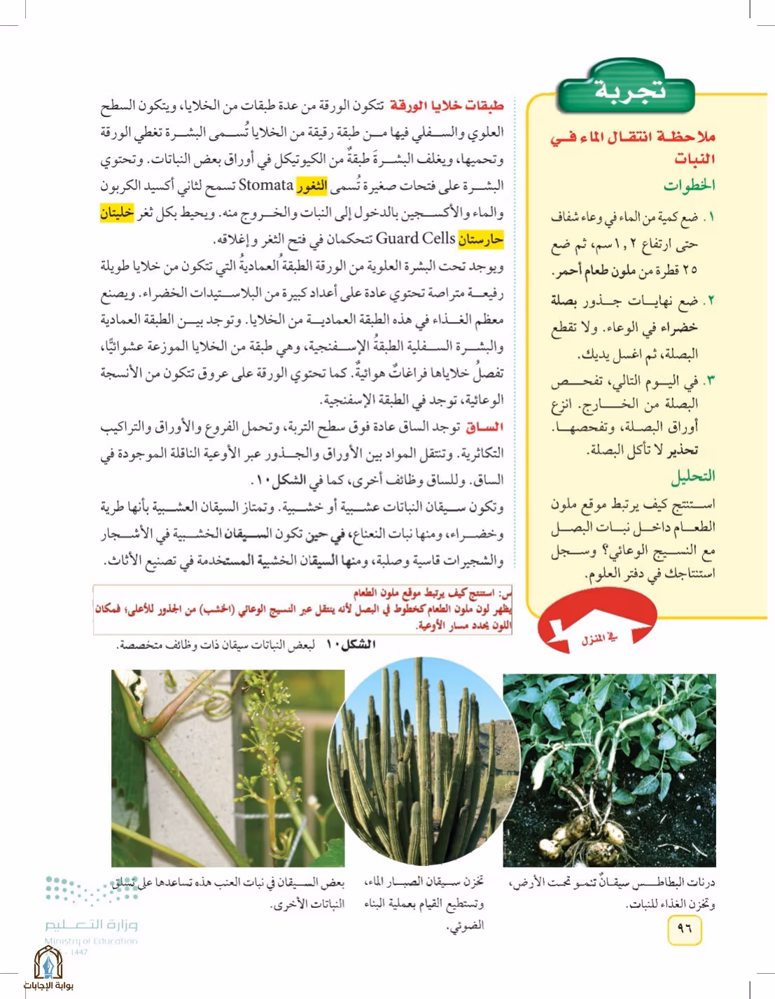 صفحة 96