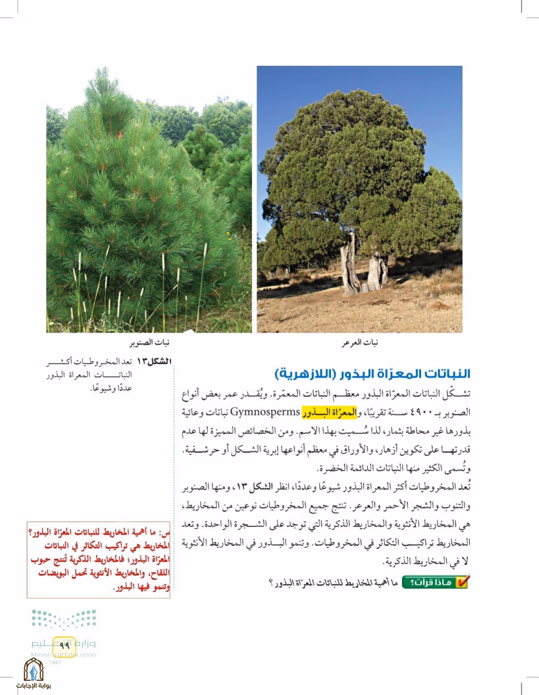 صفحة 99