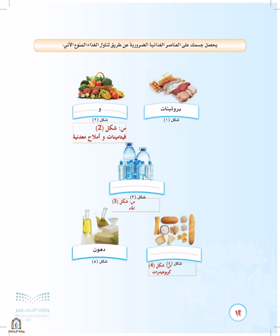 صفحة 12