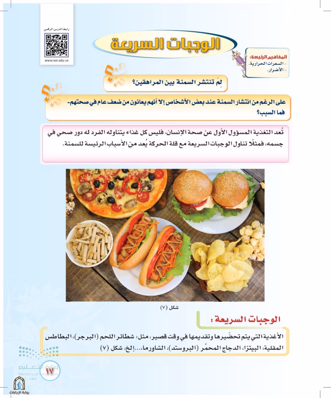 صفحة 17