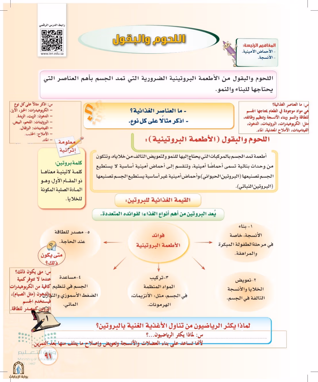 صفحة 91