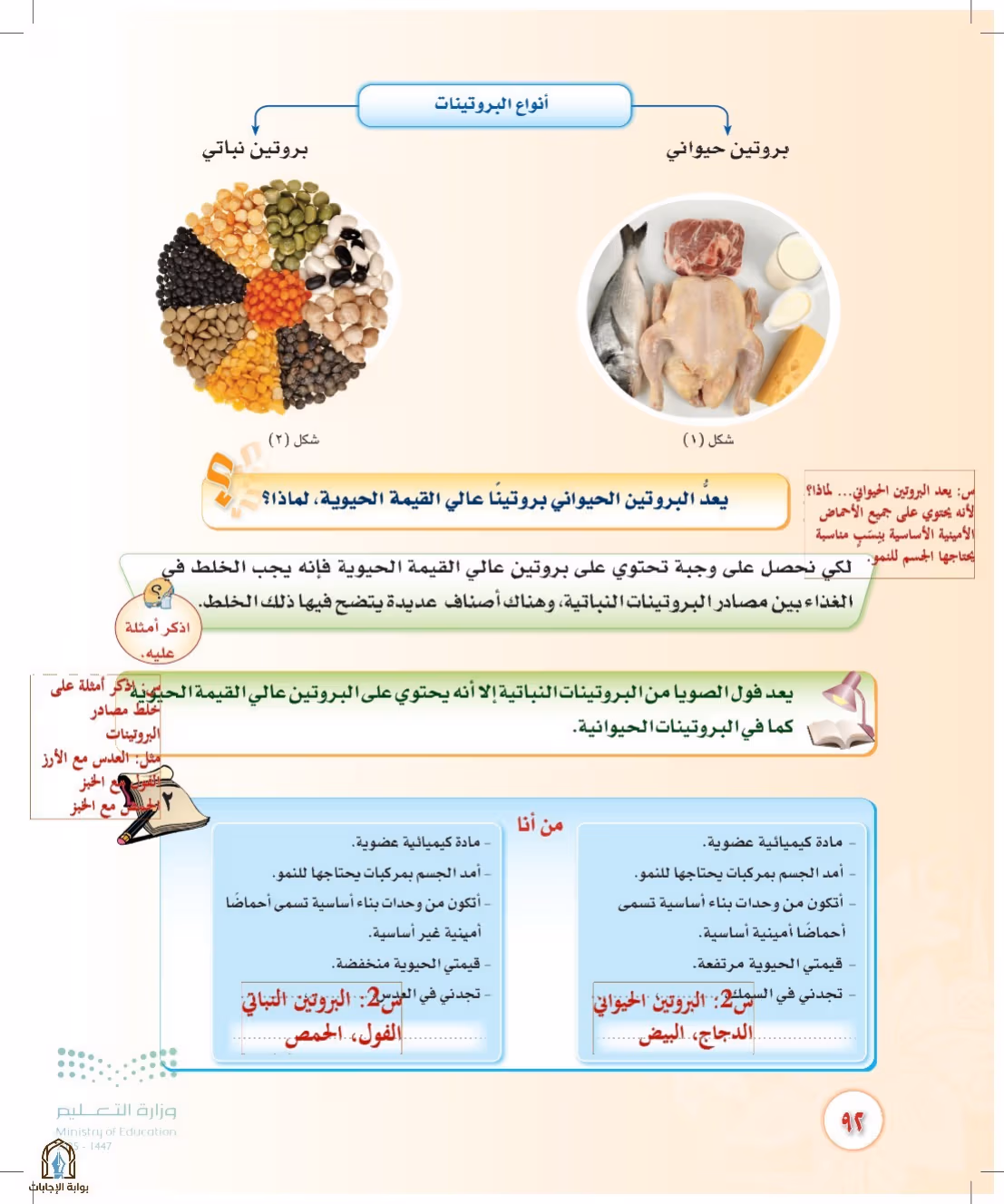 صفحة 92