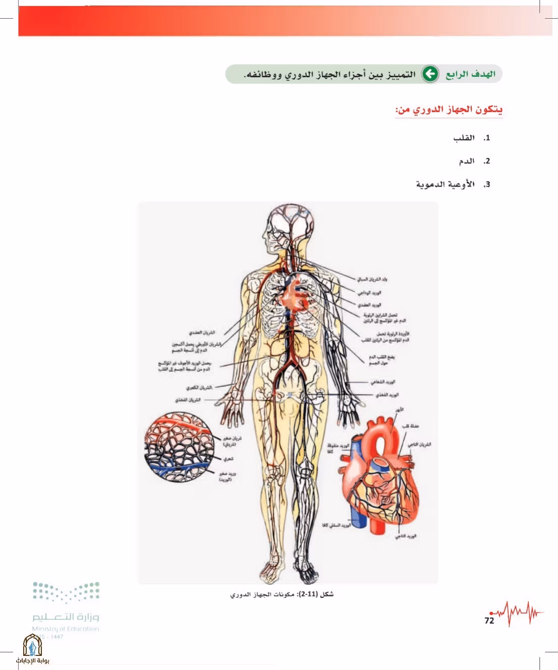 صفحة 72