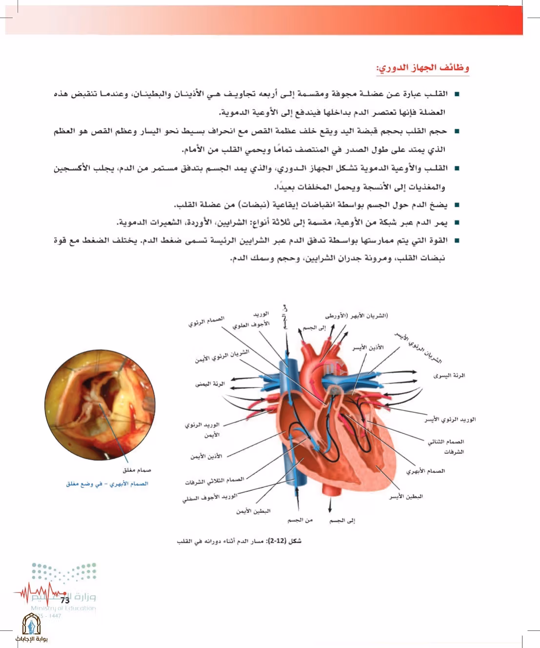 صفحة 73