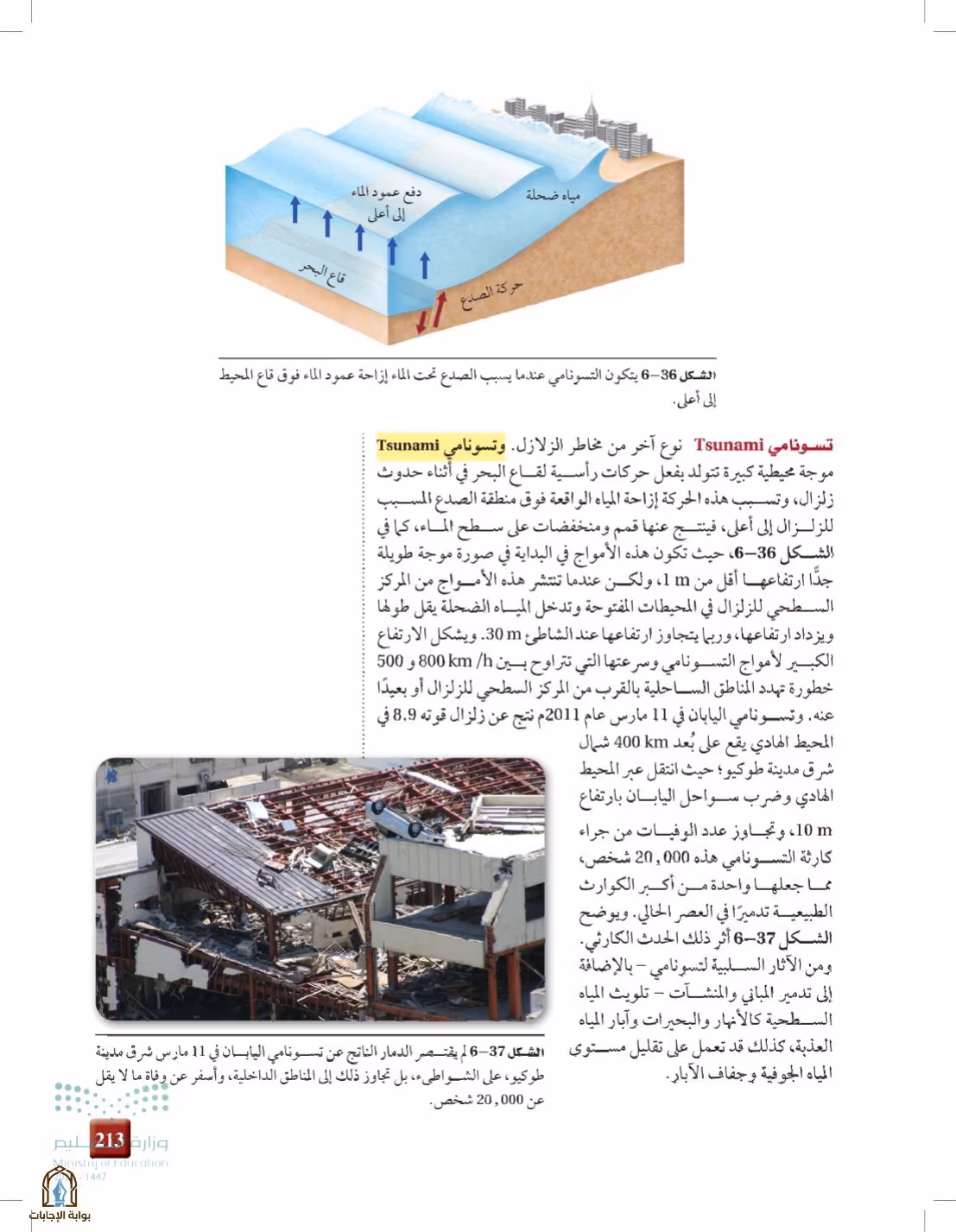 صفحة 213