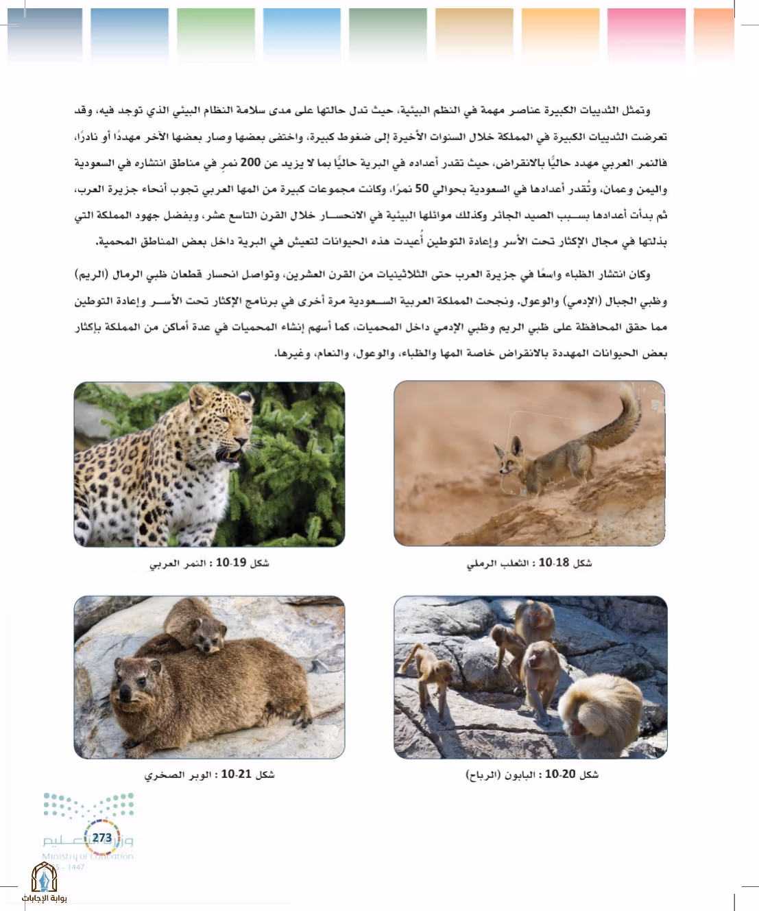صفحة 273