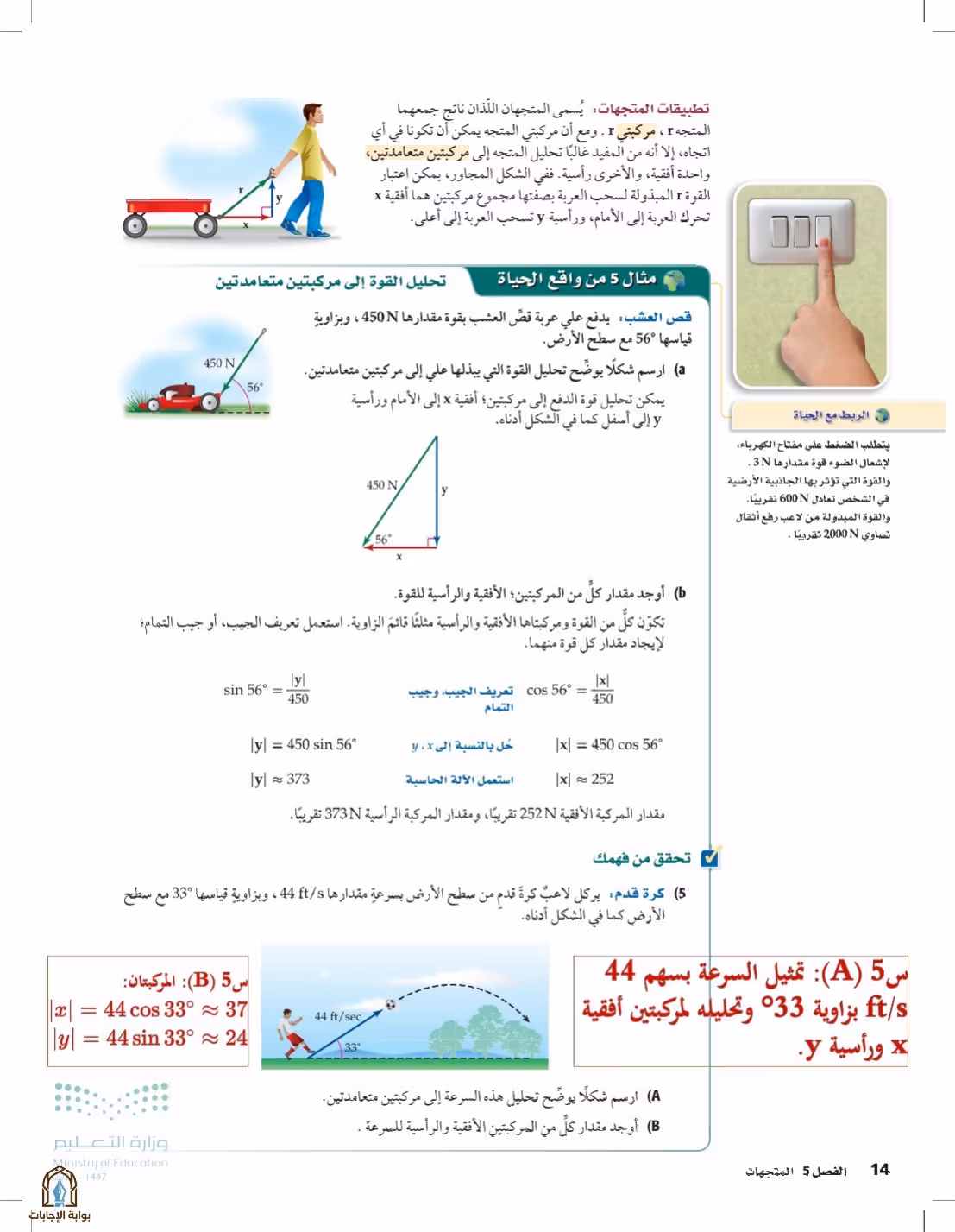 صفحة 14
