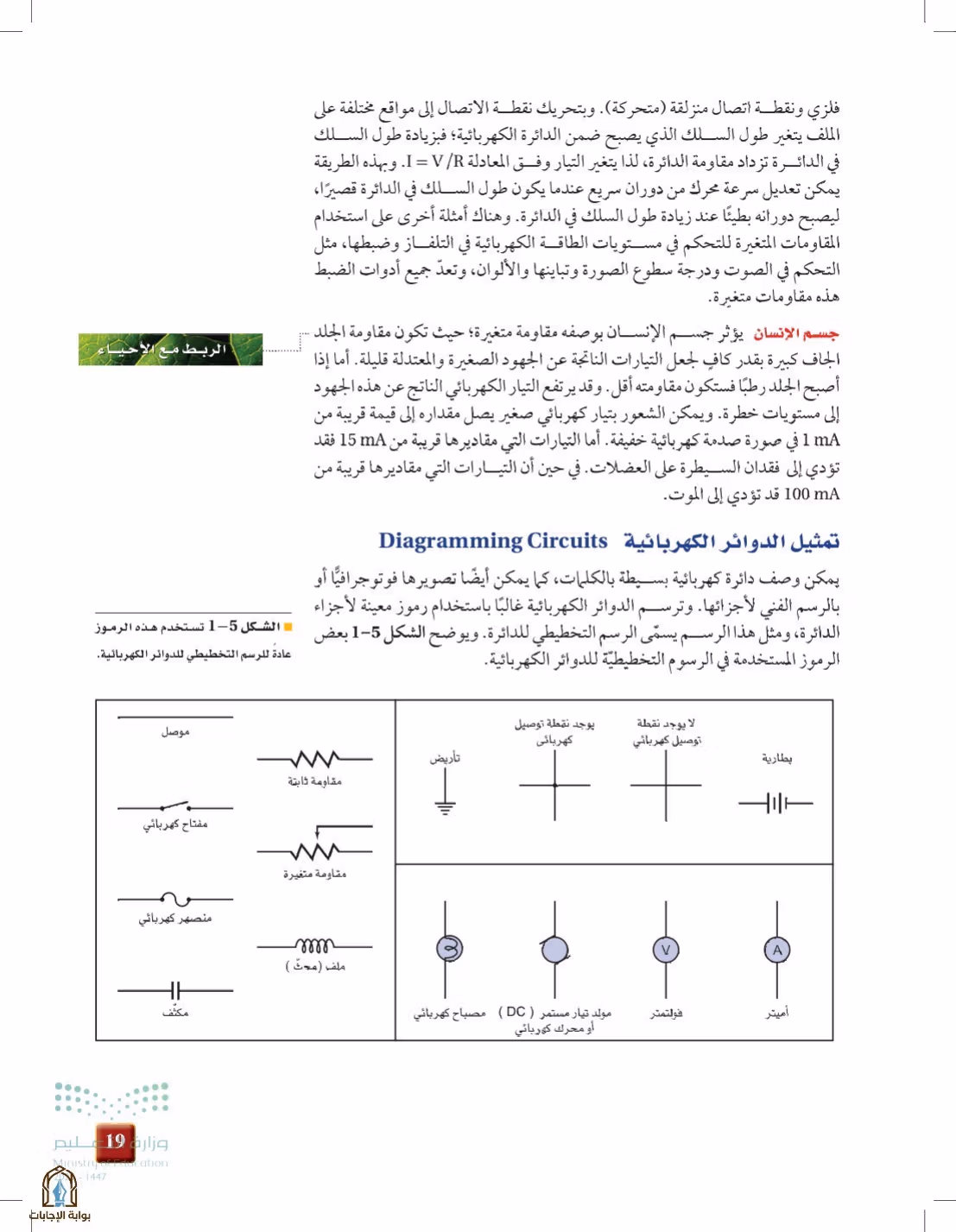 صفحة 19