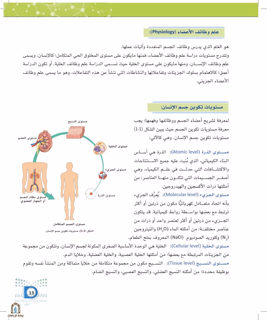 صفحة 13