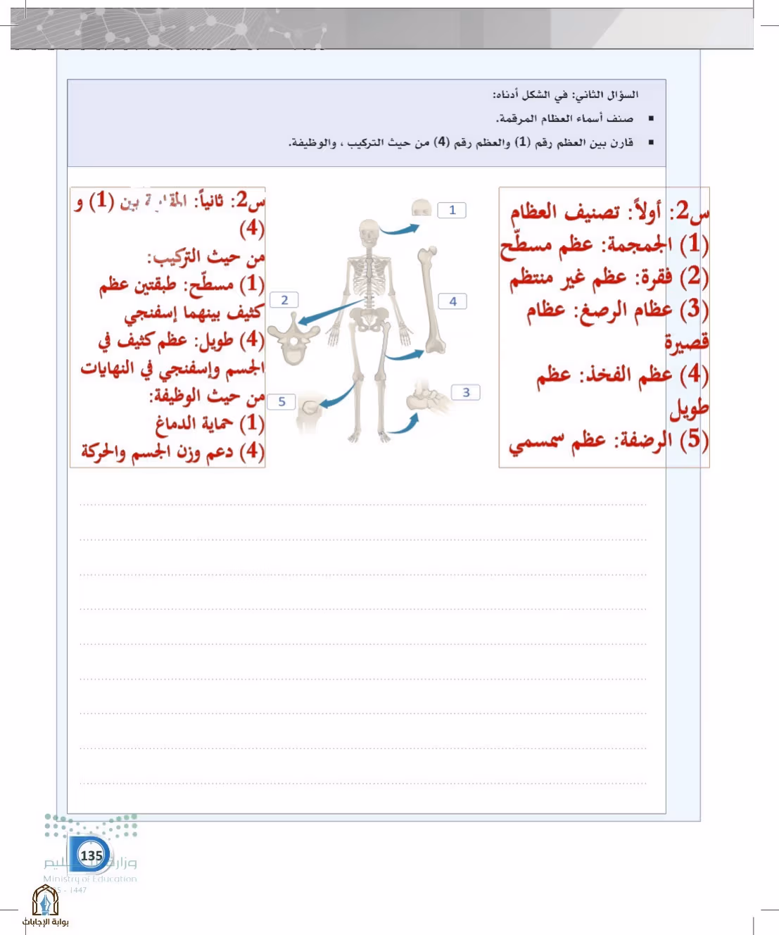 صفحة 135