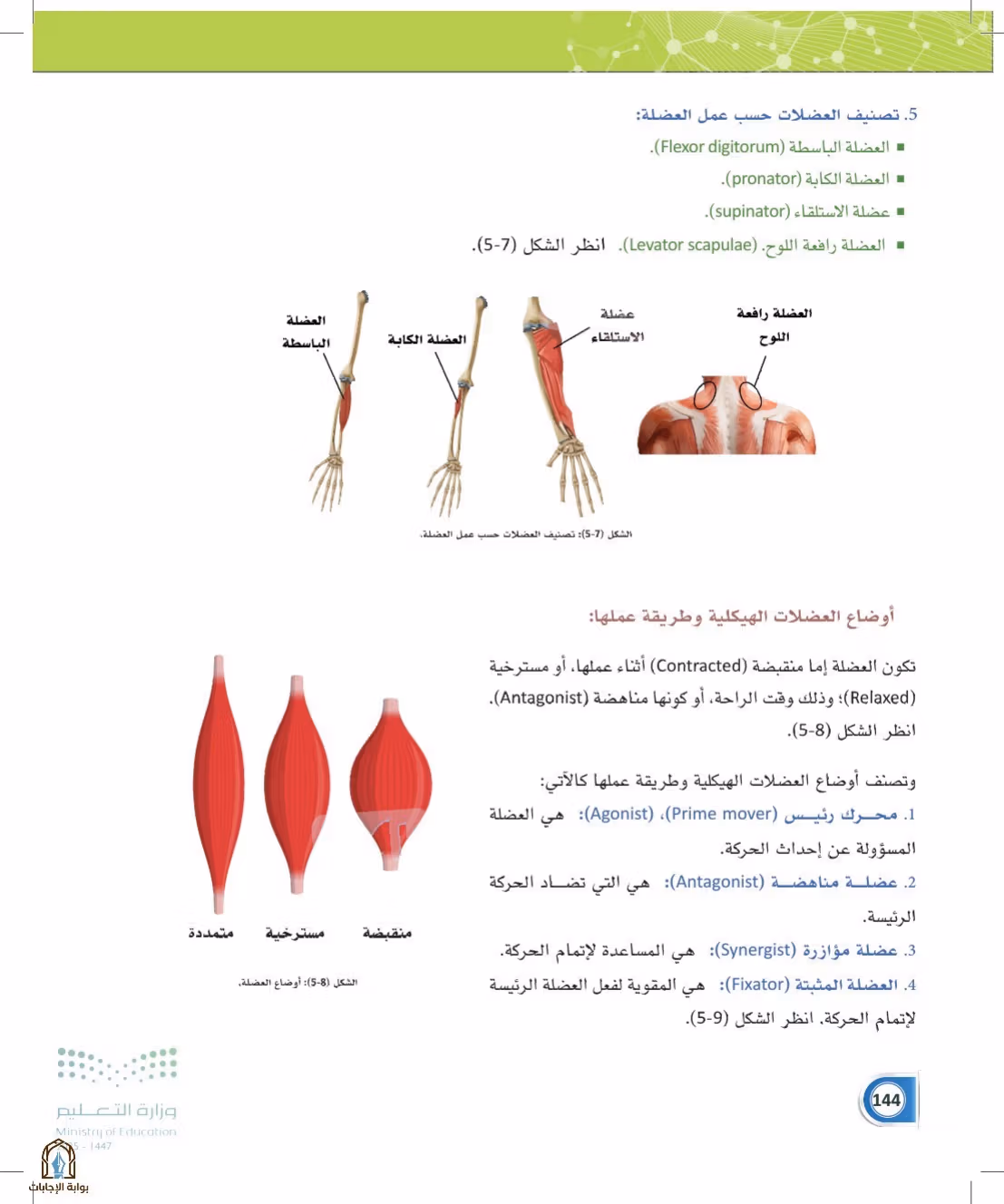 صفحة 144