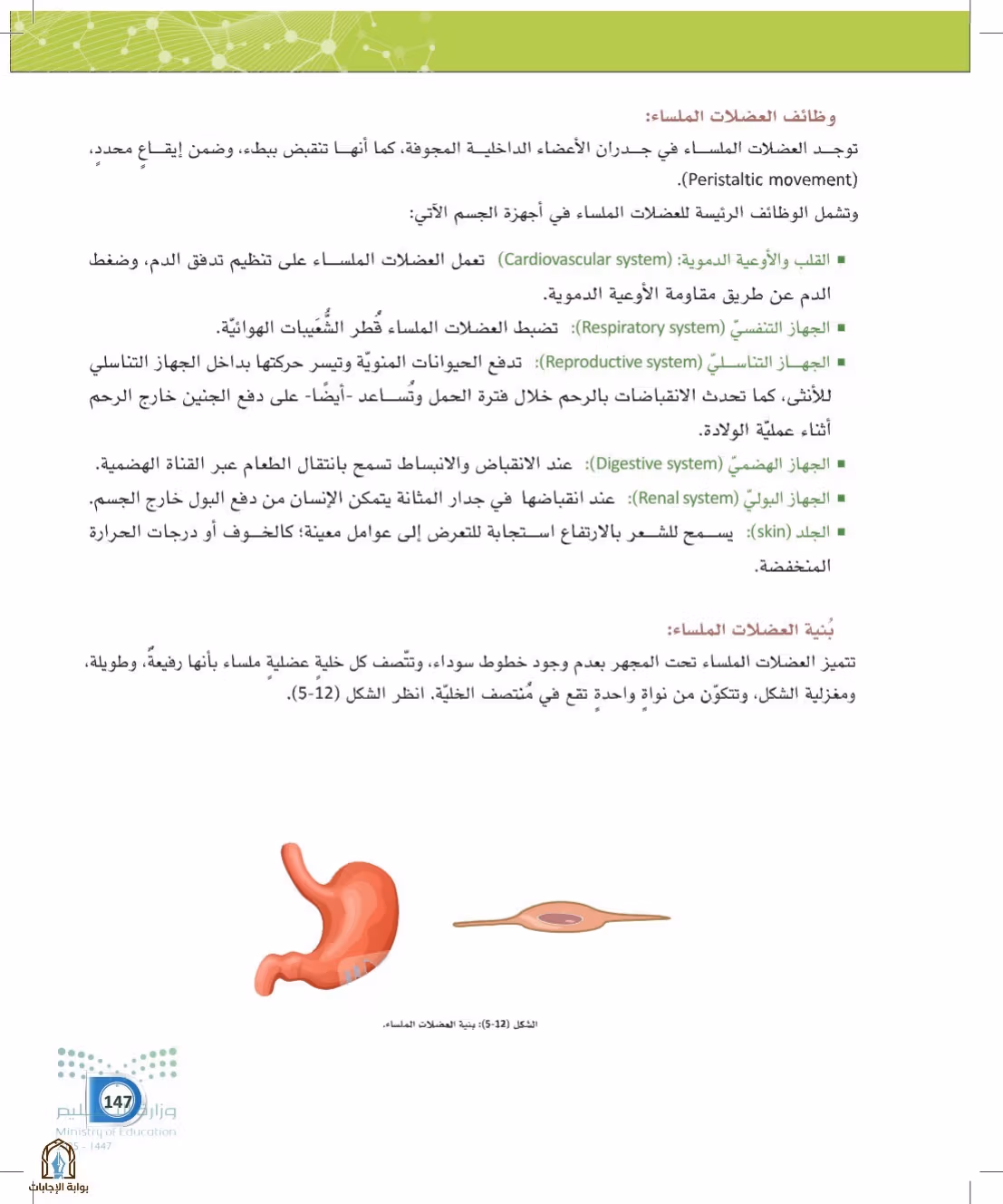 صفحة 147