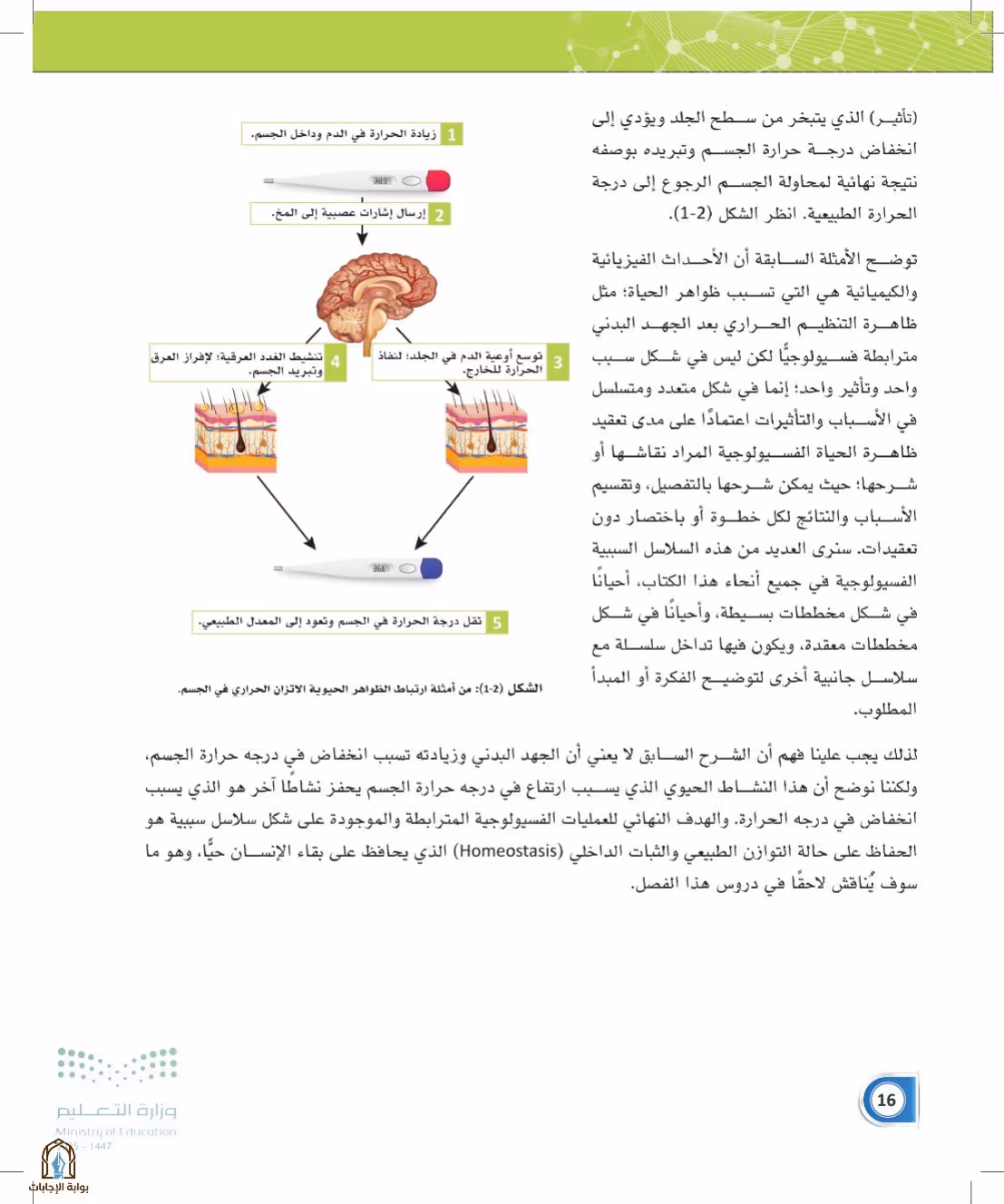 صفحة 16