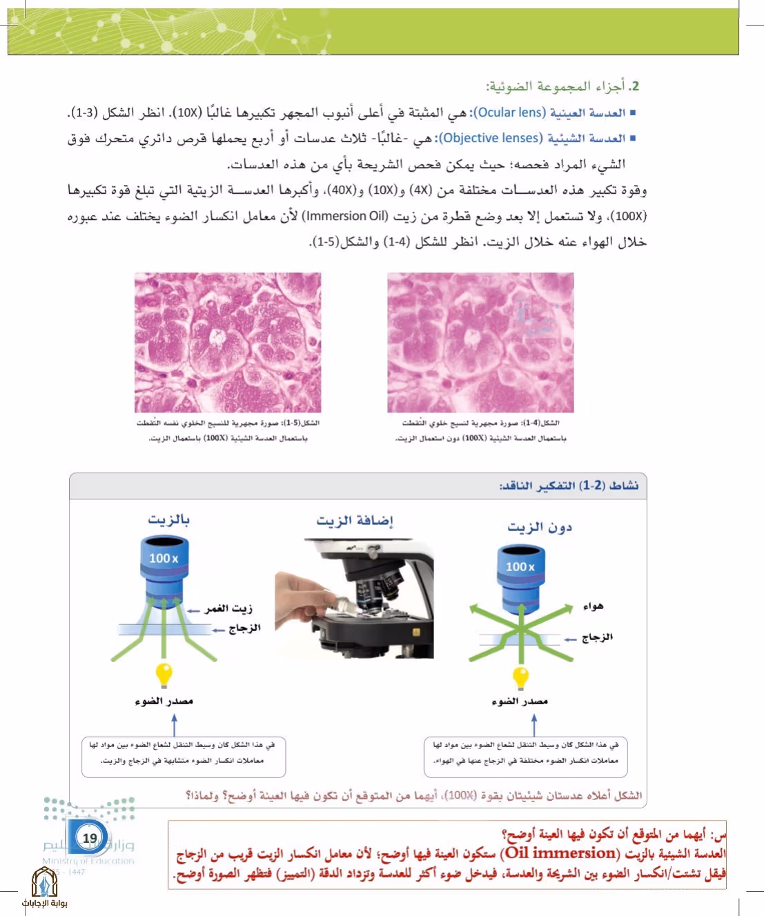 صفحة 19