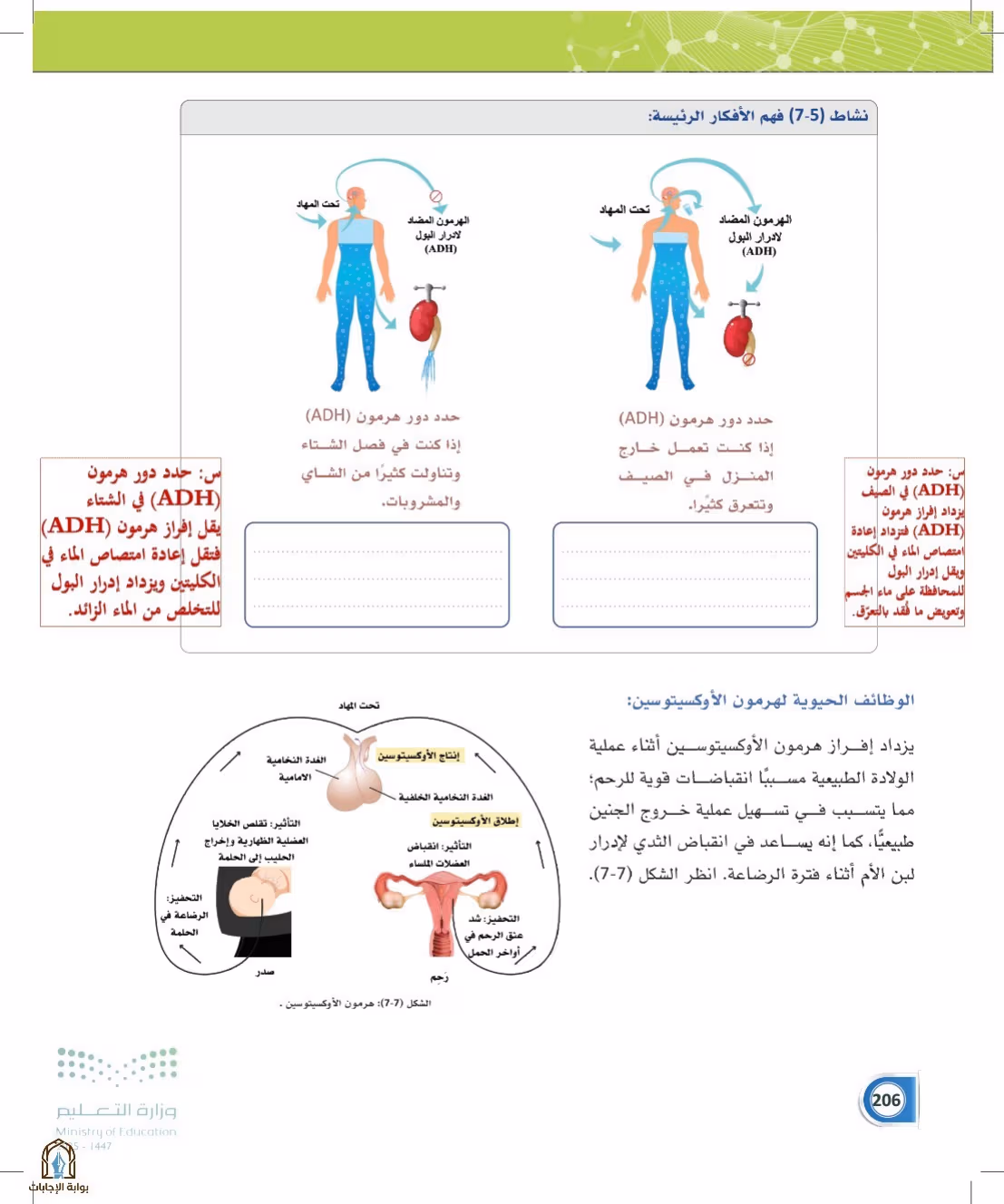 صفحة 206
