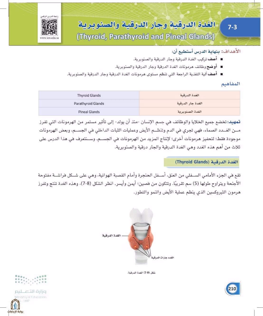 صفحة 210