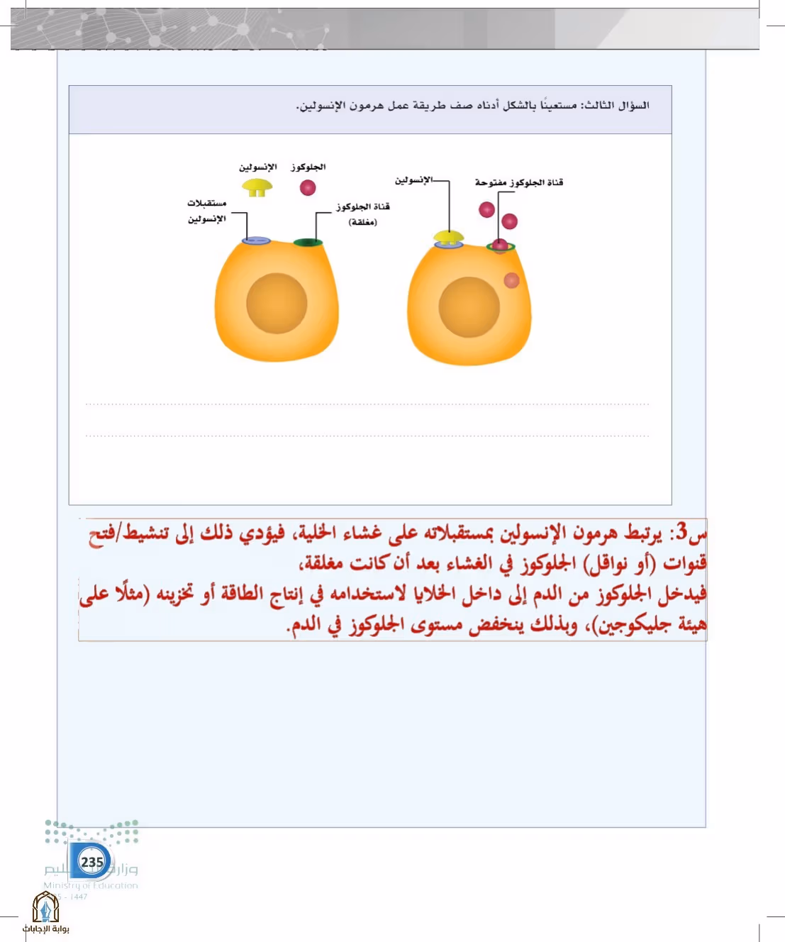 صفحة 235