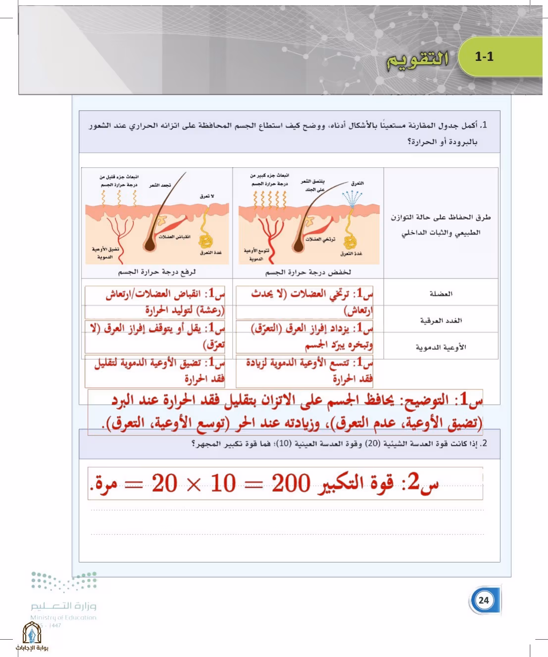 صفحة 24