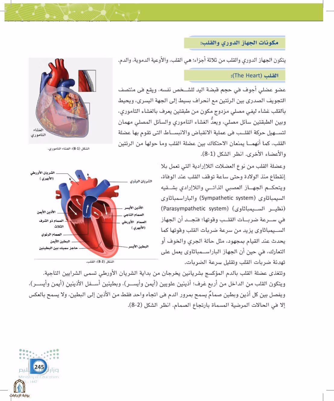 صفحة 245
