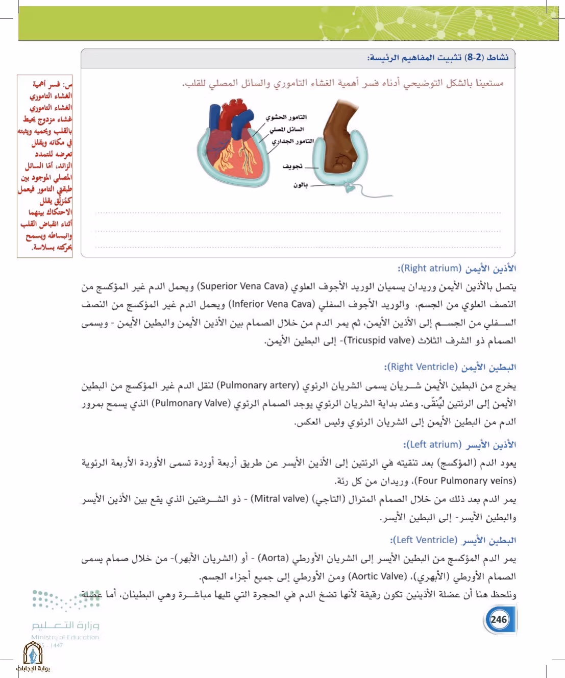 صفحة 246