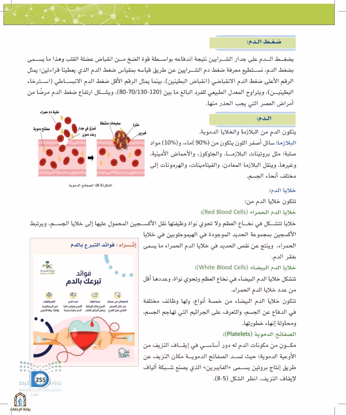 صفحة 255