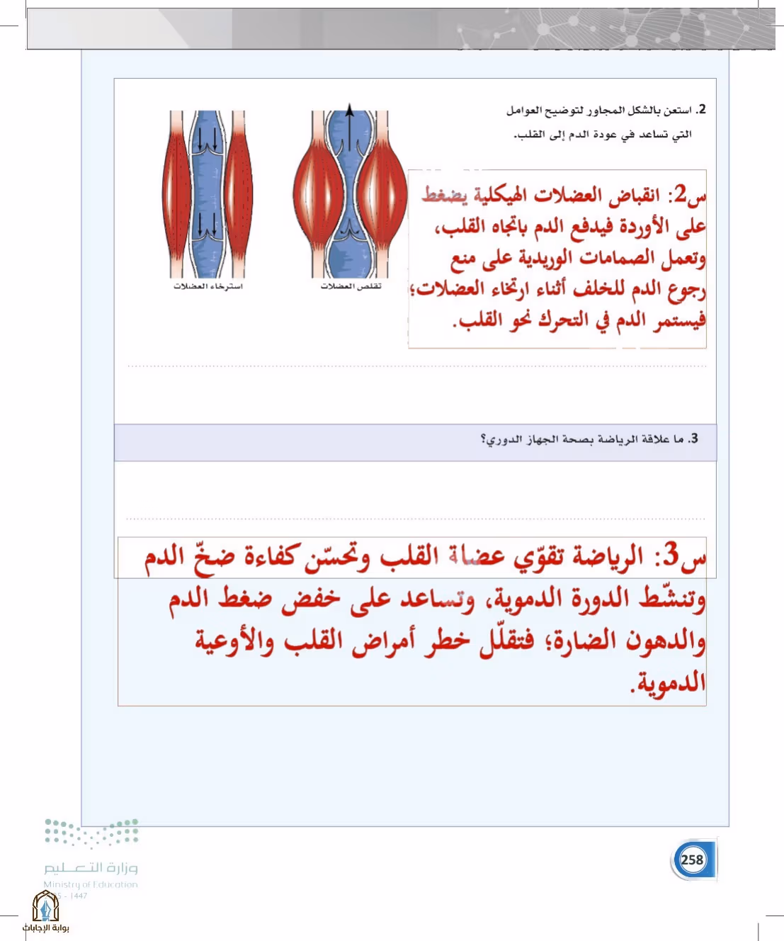 صفحة 258