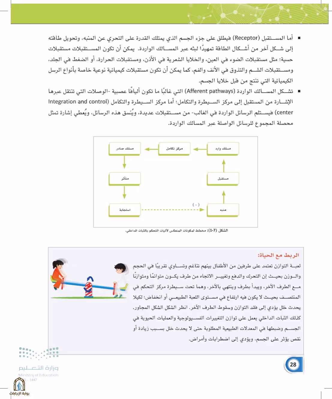 صفحة 28