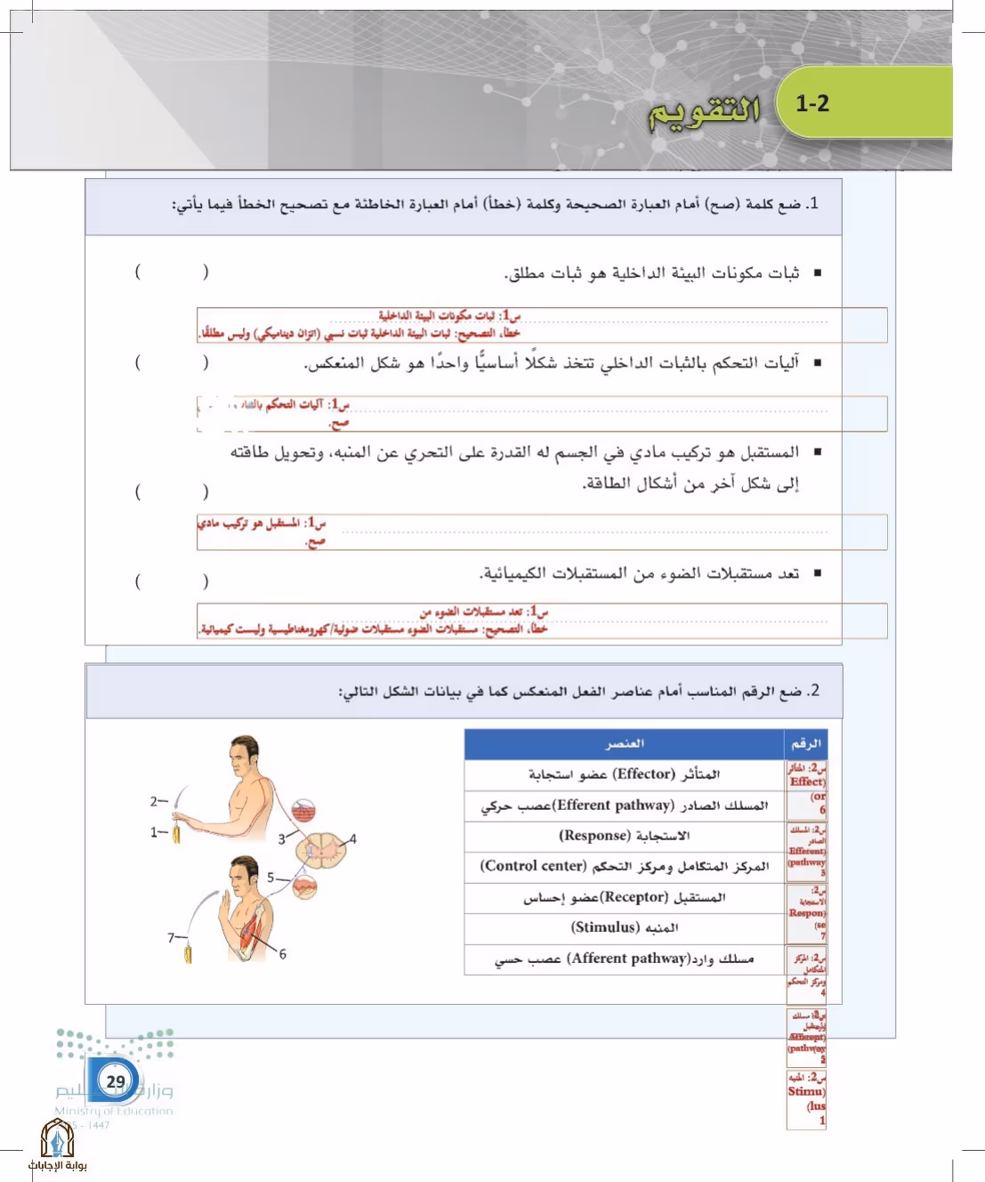 صفحة 29