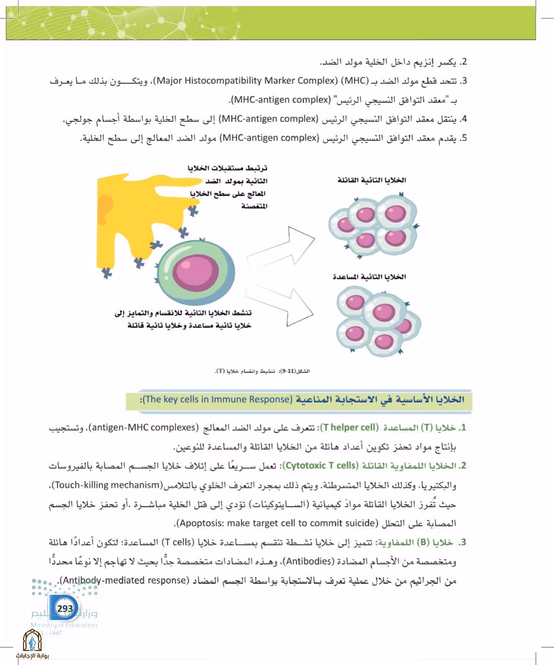 صفحة 293