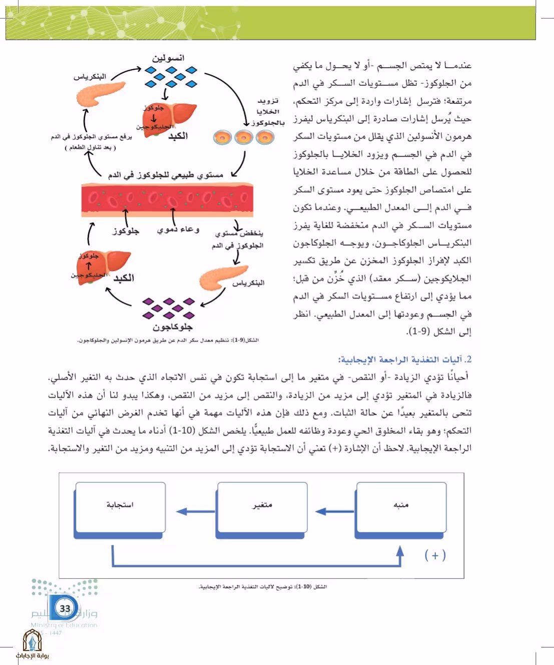 صفحة 33