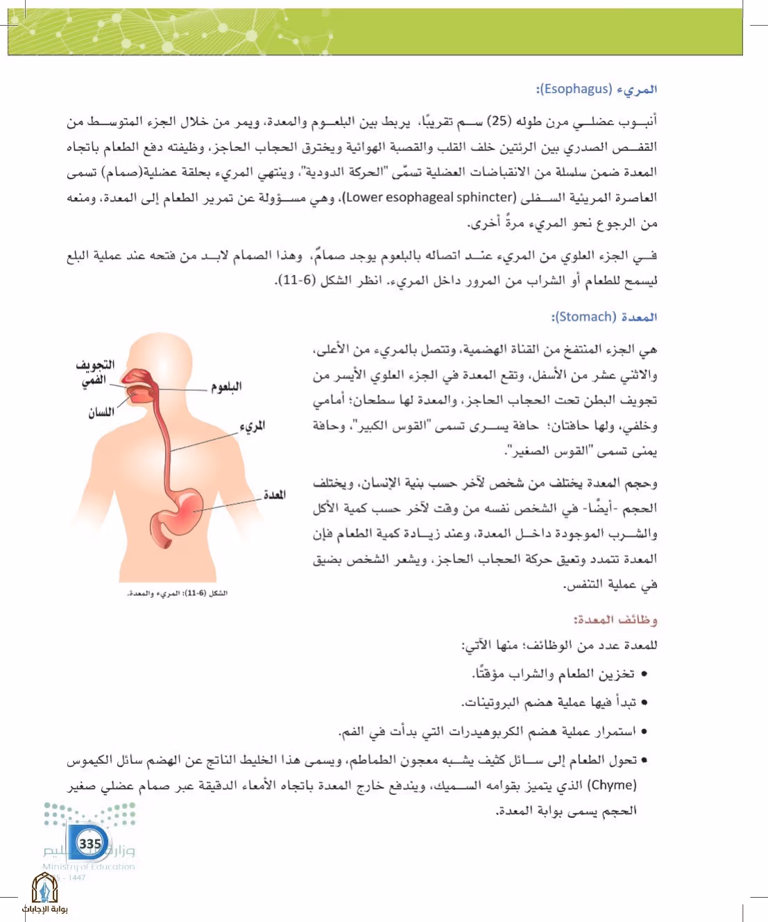 صفحة 335