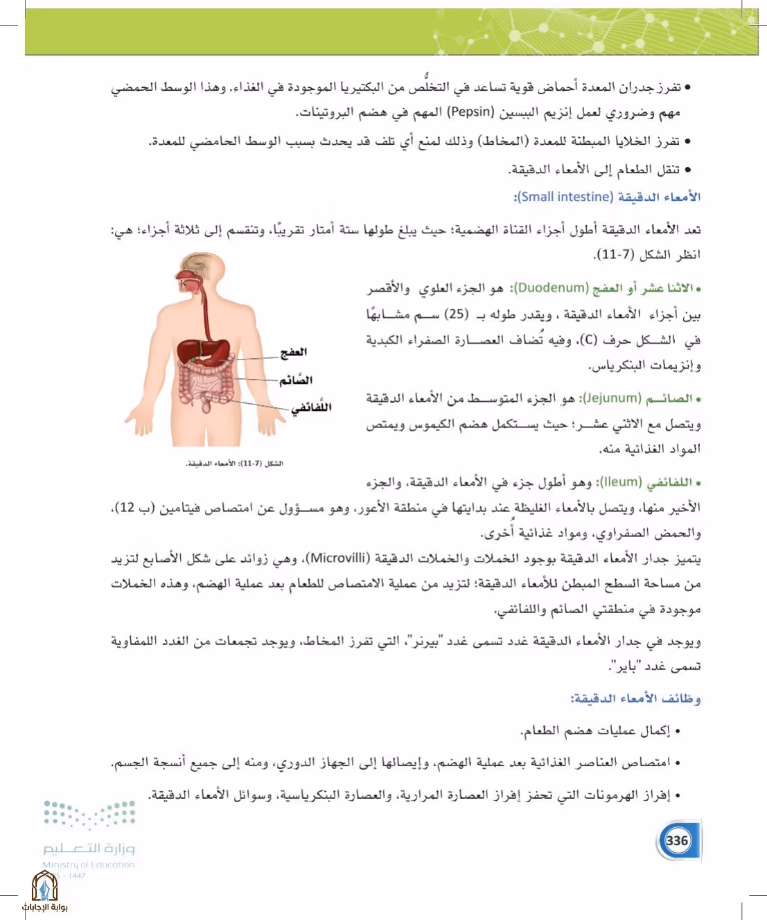 صفحة 336