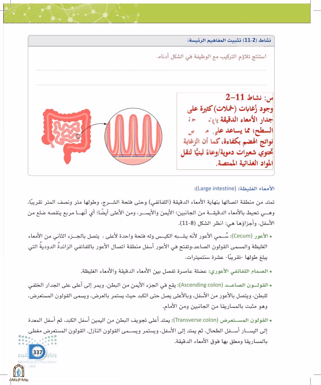 صفحة 337