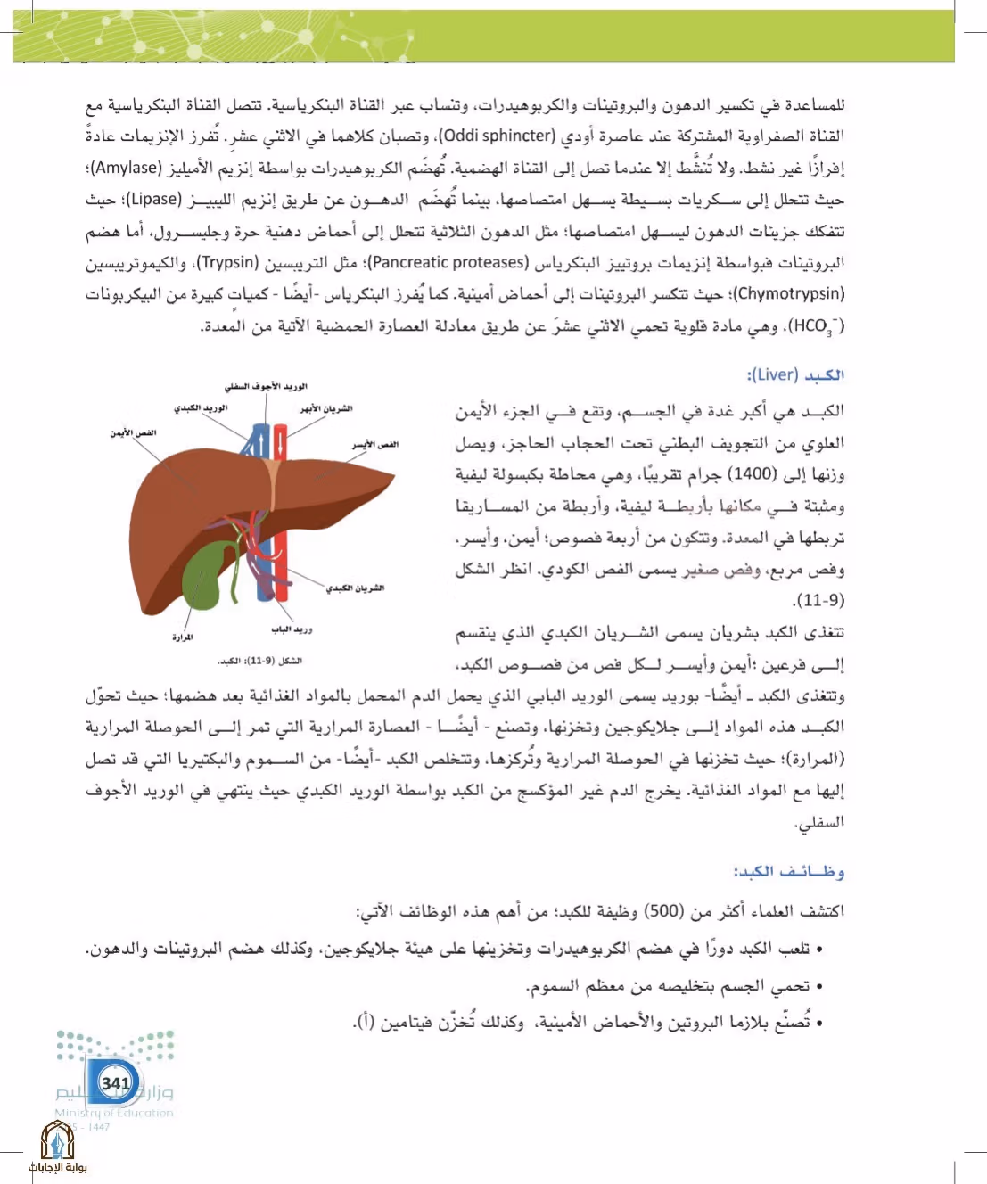 صفحة 341