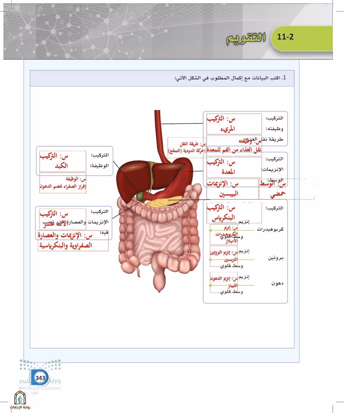 صفحة 343