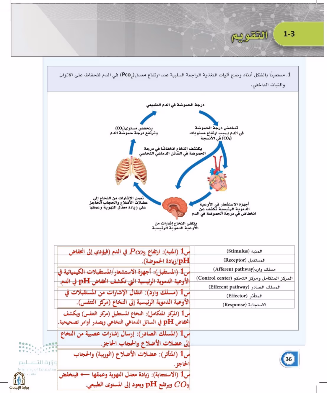 صفحة 36