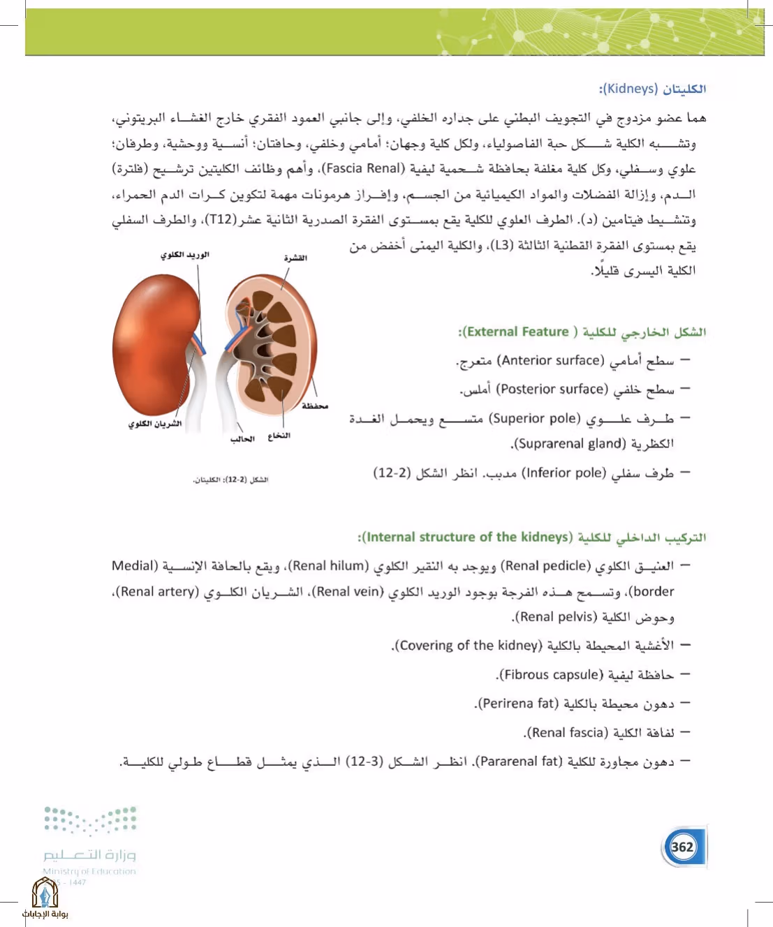 صفحة 362