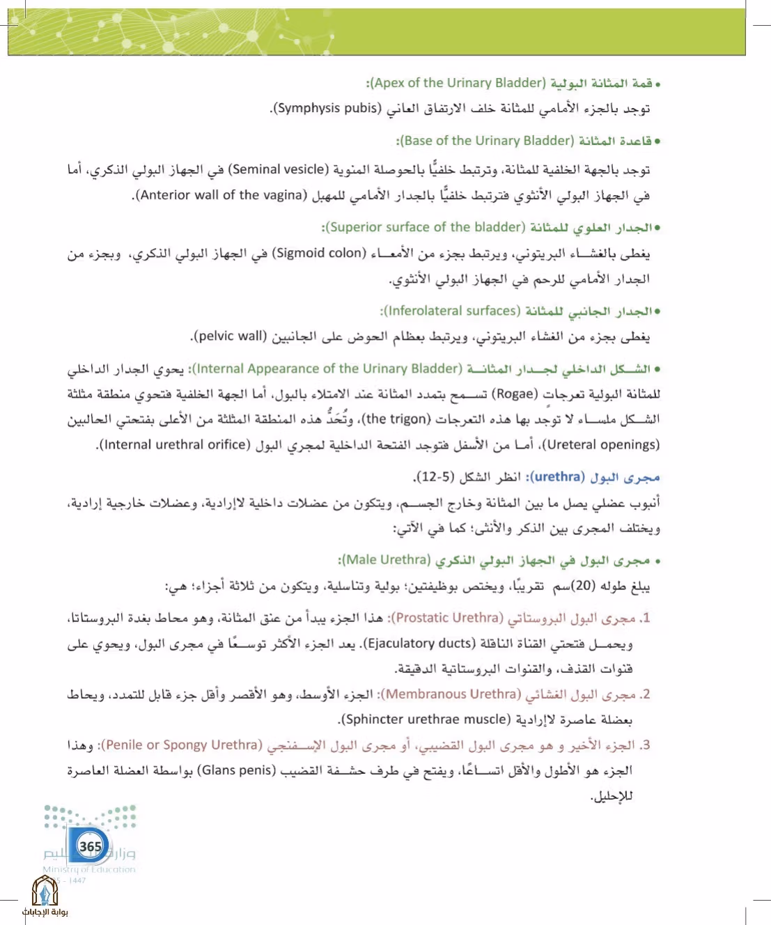صفحة 365