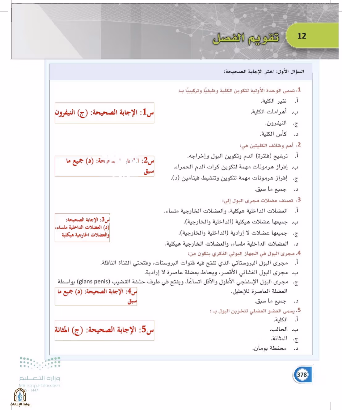صفحة 378